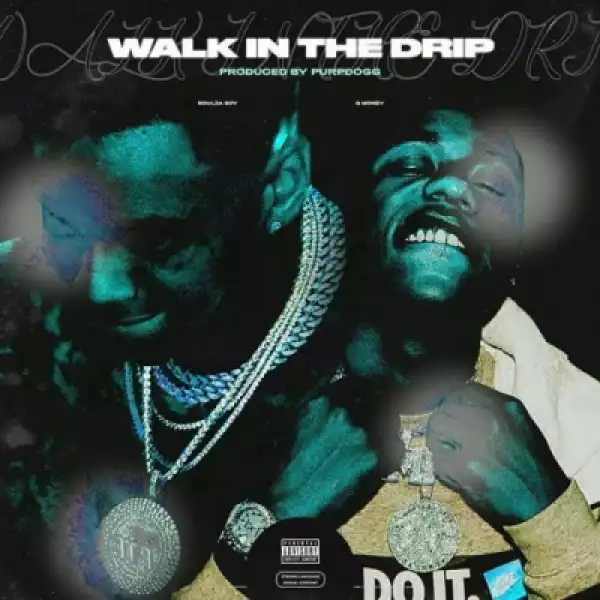 Soulja Boy - Walk In The Drip Ft. Q Money